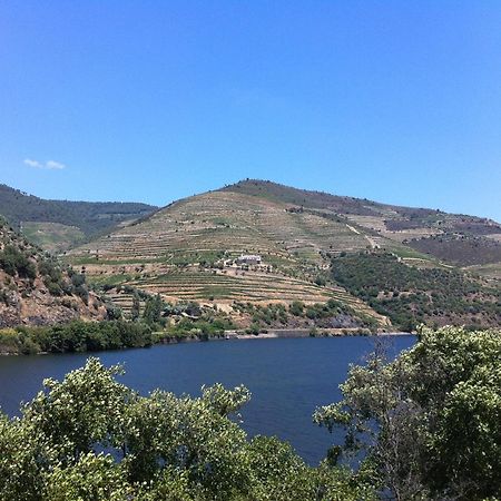 Quinta Da Marka Covas do Douro Eksteriør bilde