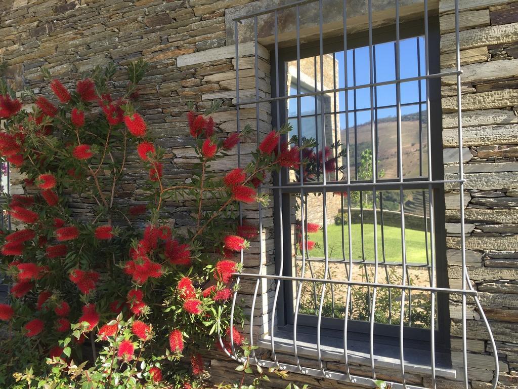 Quinta Da Marka Covas do Douro Eksteriør bilde