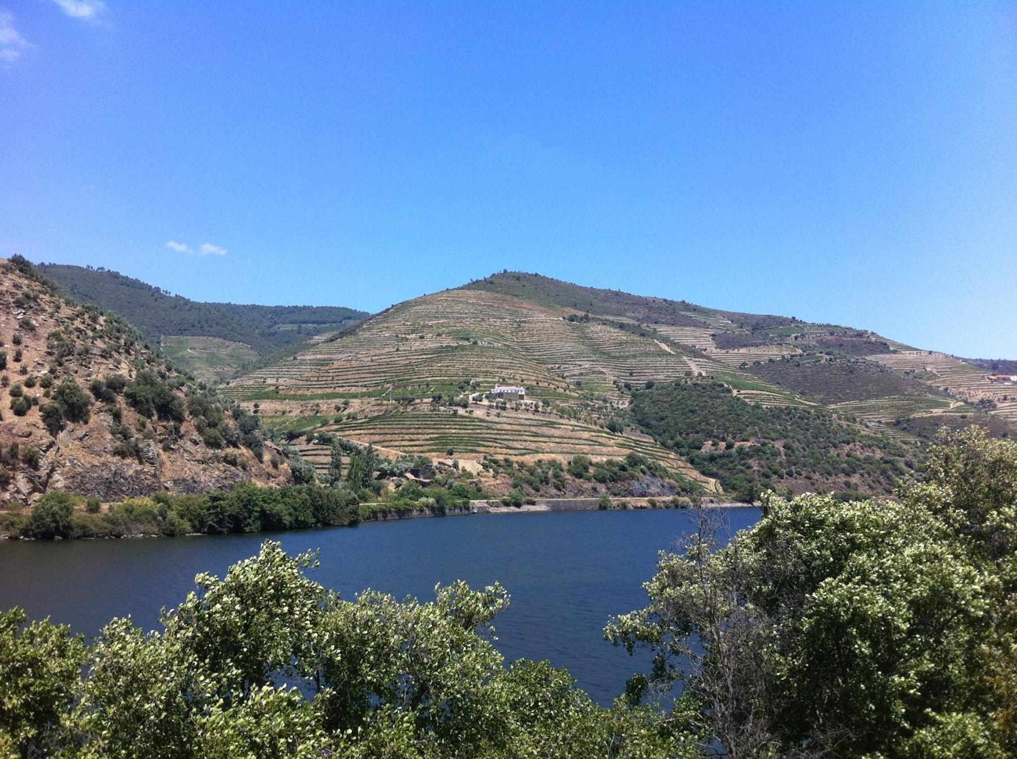Quinta Da Marka Covas do Douro Eksteriør bilde